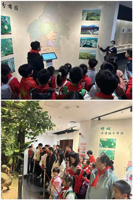 图片6